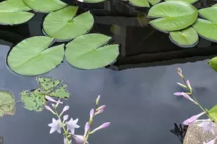 100 Brookfield Dr, Dover, DE 19901 - Photo 85