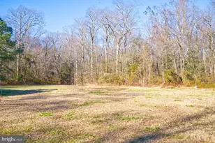 2199 Brownsville Rd, Harrington, DE 19952 - Photo 11