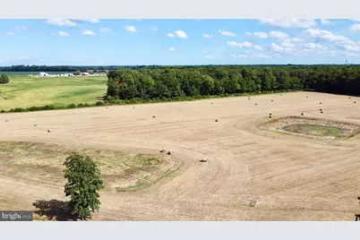 Hopkins Cemetery Rd - Lot 3, Harrington, DE 19952 - Photo 5