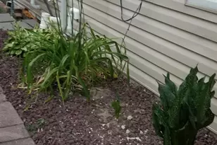 423 Main St, Clayton, DE 19938 - Photo 49