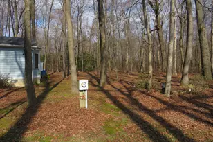 1126 Myers Dr, Hartly, DE 19953 - Photo 31