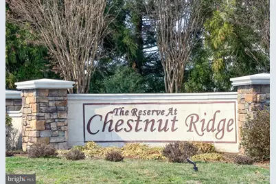 171 Cinnamon Way, Magnolia, DE 19962 - Photo 3