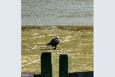 83 Zelkova Road, Smyrna, DE 19977 - Photo 83