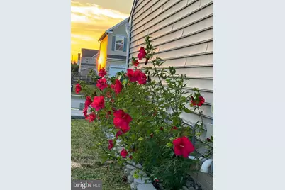 83 Zelkova Road, Smyrna, DE 19977 - Photo 107