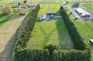 562 Black Swamp Rd, Felton, DE 19943 - Photo 69