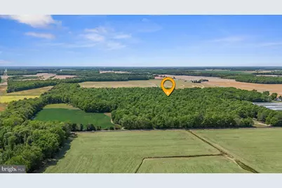 0-0 Cattail Road, Harrington, DE 19952 - Photo 19
