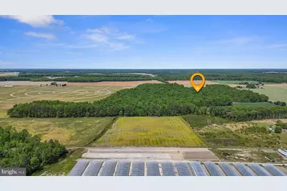 0-0 Cattail Road, Harrington, DE 19952 - Photo 15