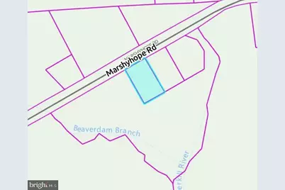0 Marshyhope Road, Felton, DE 19943 - Photo 5