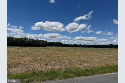 953 White Marsh Branch Road, Harrington, DE 19952 - Photo 27