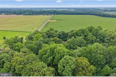 1583 Fork Landing Road, Milford, DE 19963 - Photo 11