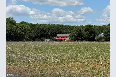 953 White Marsh Branch Road, Harrington, DE 19952 - Photo 5