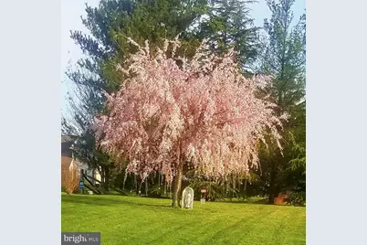 1 Bohemia Road, Bear, DE 19701 - Photo 55