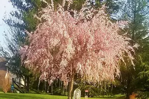 1 Bohemia Rd, Bear, DE 19701 - Photo 55