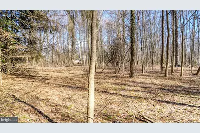 2431 Grubb Road, Wilmington, DE 19810 - Photo 9