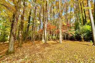 1224 Grinnell Rd, Wilmington, DE 19803 - Photo 3