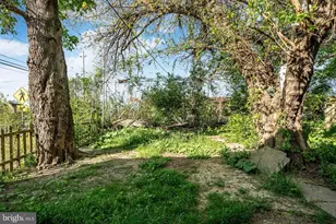 1121 E 22nd St, Wilmington, DE 19802 - Photo 17