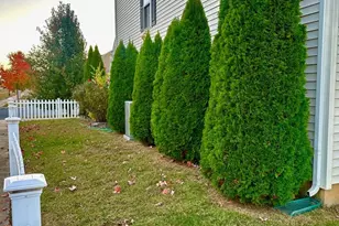 114 Ridgemont Dr, Middletown, DE 19709 - Photo 23