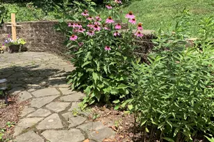 2303 Magnolia Dr, Wilmington, DE 19810 - Photo 33