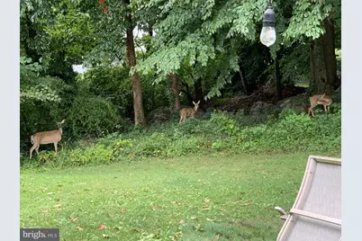 2303 Magnolia Drive, Wilmington, DE 19810 - Photo 31