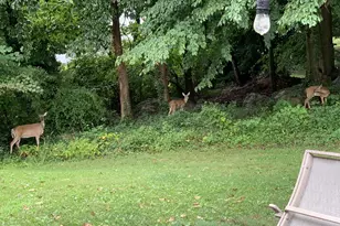 2303 Magnolia Dr, Wilmington, DE 19810 - Photo 31