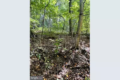 1 Laurel Ridge Lane, Wilmington, DE 19807 - Photo 13