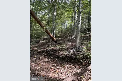 1 Laurel Ridge Lane, Wilmington, DE 19807 - Photo 3