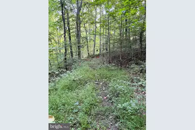 1 Laurel Ridge Lane, Wilmington, DE 19807 - Photo 15