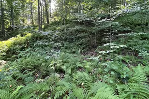 1 Laurel Ridge Ln, Wilmington, DE 19807 - Photo 1