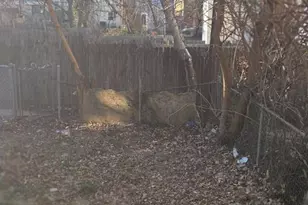 624 W 8th St, Wilmington, DE 19801 - Photo 11