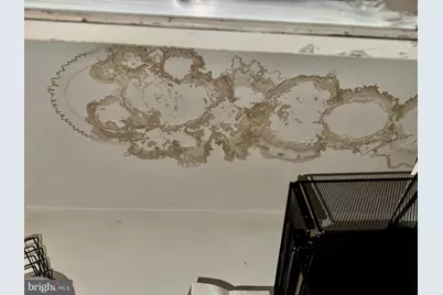 8 Honeysuckle Drive, Newark, DE 19702 - Photo 15