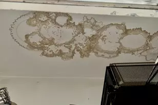 8 Honeysuckle Dr, Newark, DE 19702 - Photo 15