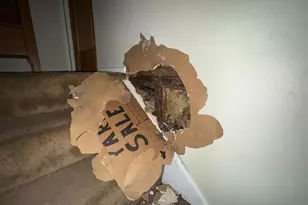 8 Honeysuckle Dr, Newark, DE 19702 - Photo 17