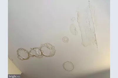 8 Honeysuckle Drive, Newark, DE 19702 - Photo 13