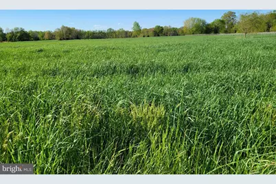 679 Oak Hill School Road, Townsend, DE 19734 - Photo 45