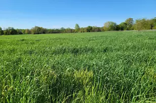 679 Oak Hill School Rd, Townsend, DE 19734 - Photo 45