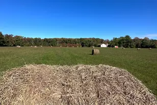 1038 Fieldsboro Rd, Townsend, DE 19734 - Photo 11