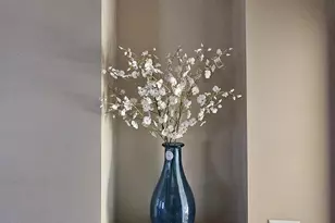 624 Nesting Ln, Middletown, DE 19709 - Photo 9