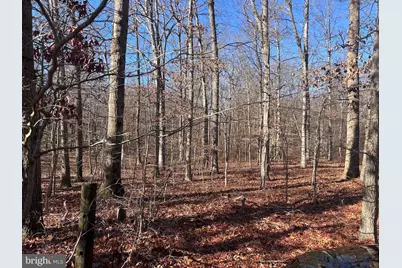 0 Lot 6 Ratledge Road, Townsend, DE 19734 - Photo 3