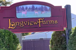 918 Rockwell Rd, Wilmington, DE 19810 - Photo 75