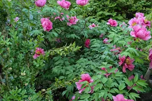 5 Biltmore Ct, Wilmington, DE 19808 - Photo 43