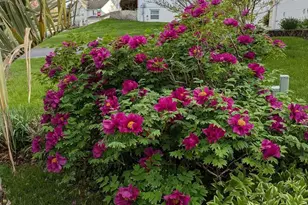 5 Biltmore Ct, Wilmington, DE 19808 - Photo 41