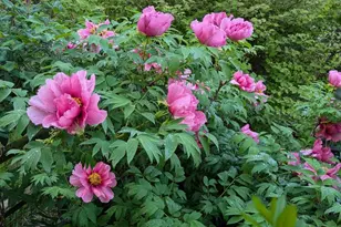 5 Biltmore Ct, Wilmington, DE 19808 - Photo 35