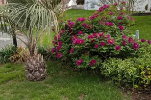 5 Biltmore Ct, Wilmington, DE 19808 - Photo 39