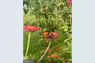 510 Cilantro Court, Middletown, DE 19709 - Photo 49