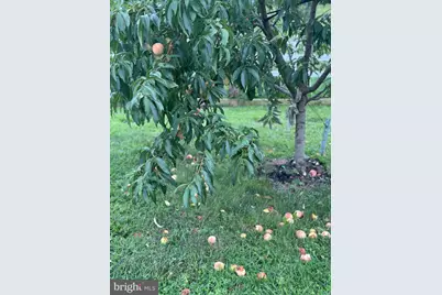 510 Cilantro Court, Middletown, DE 19709 - Photo 45