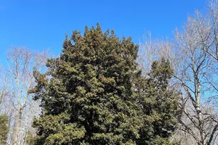 4076 Willey Dr, Townsend, DE 19734 - Photo 21