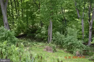 16 Michael Ct, Wilmington, DE 19808 - Photo 29