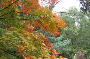 28 Harris Cir, Newark, DE 19711 - Photo 45