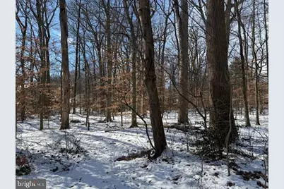 2003 Dogwood Lane, Wilmington, DE 19810 - Photo 7