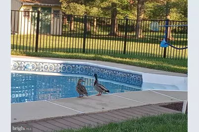 152 W Savannah Drive, Bear, DE 19701 - Photo 3